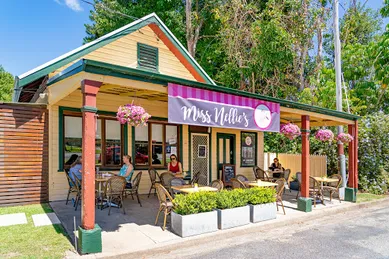 Coffee shop Miss Nellie's Caf2 in Kendall