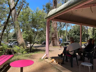 Coffee shop Ellenborough Falls - Yep Kiosk in Elands