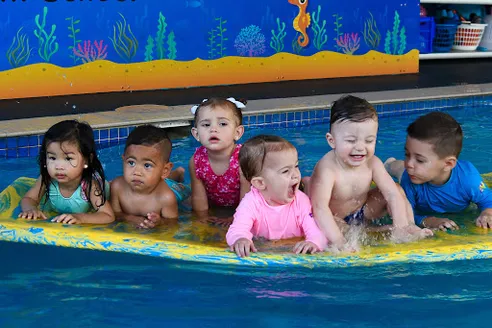 Little Fishes Swim School