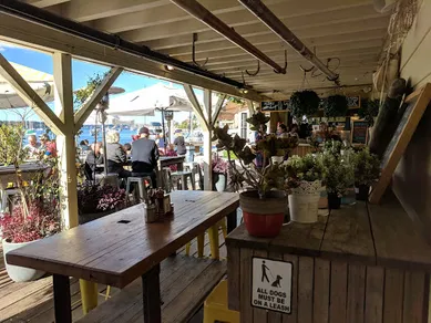 Coffee shop The Flying Bear in Kirribilli